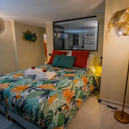 Experience - Jungle Apartamento