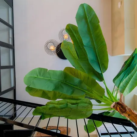 Experience - Jungle Mediolan