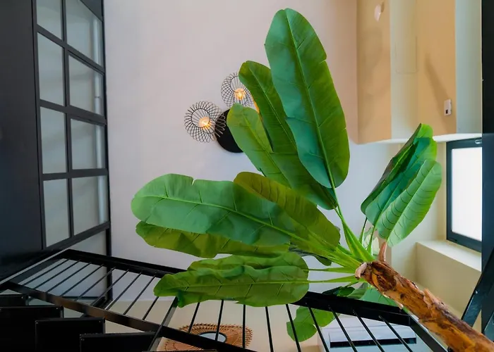 Experience - Jungle Милан